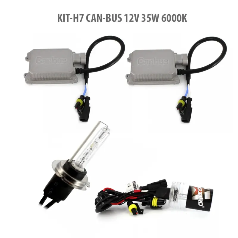 H7 can-bus 12v 55w 6000k