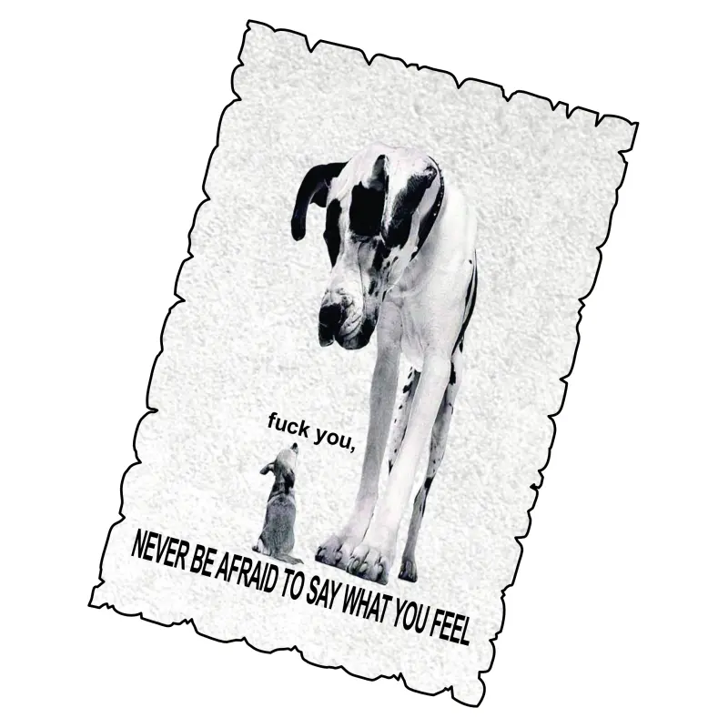 Never be afraid, magnet frigider mgs072v