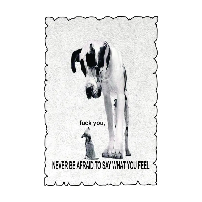 Never be afraid, magnet frigider mgs072v