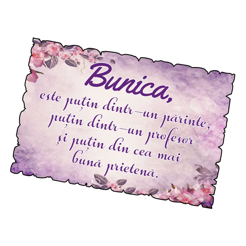 Bunica este putin dintr-un parinte,,,, magnet frigider mgs096