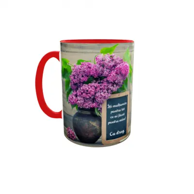 Iti multumesc pentru tot, cana ceramica, 330ml, cgs1286