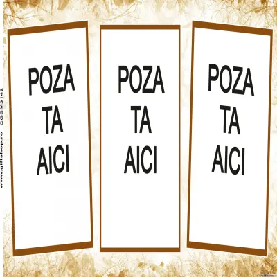 Cana, personalizata cu 3 poze si 1 text, 330ml, model 3142