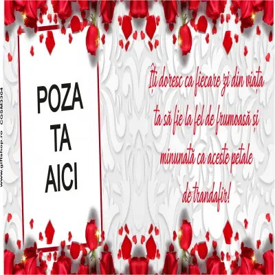 Iti doresc ca fiecare zi din viata ta..., cana personalizata cu poza si text, 330ml, model 3304