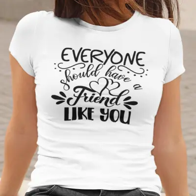 Everyone should have a friend like you , tricou cu mesaj