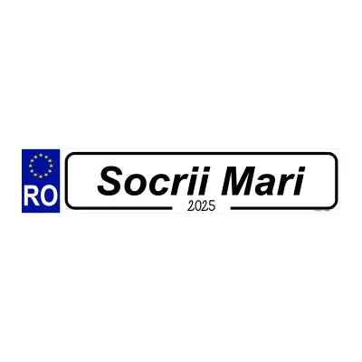 Socrii mari, indicator masina, 500x100 mm, model 2