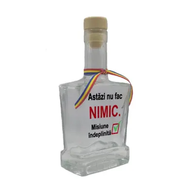 Astazi nu fac nimic, sticla cu mesaj plata, 250 ml, model divgs179 29