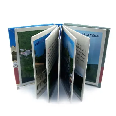 Baile herculane, magnet carte